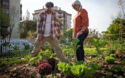 What Planting Zone is Reno Nevada?