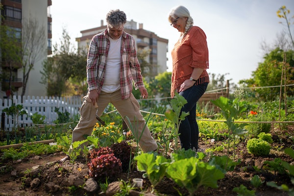 Gardening in Reno