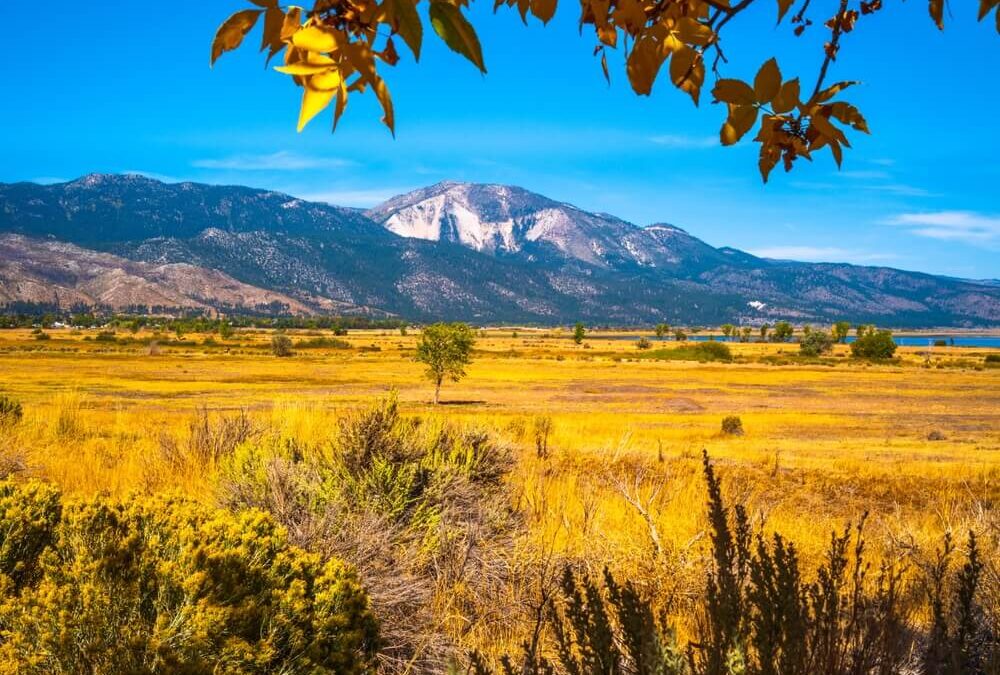 The Magic of Autumn in Reno “The Biggest Little City”