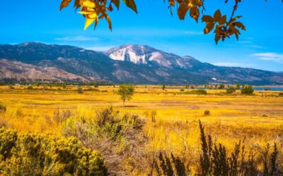 The Magic of Autumn in Reno “The Biggest Little City”