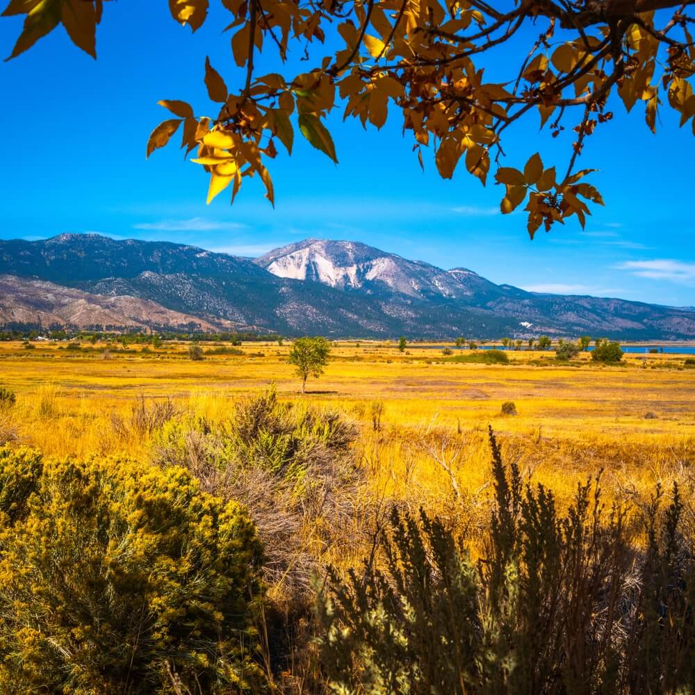 Autumn foliage with view of Mt Rose