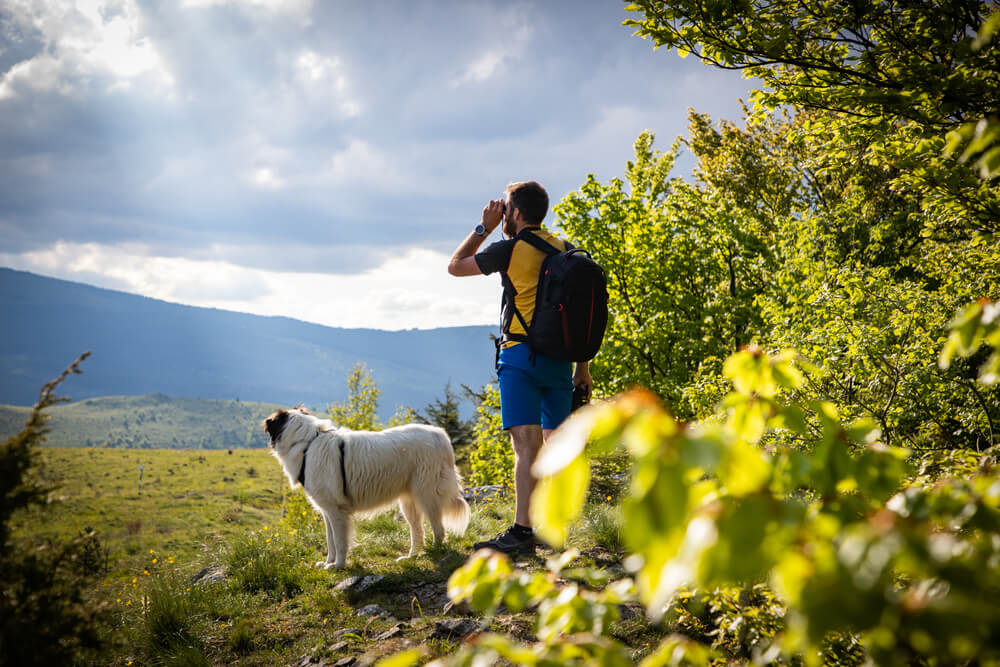 Dog with owner on hike. Beautiful scenery